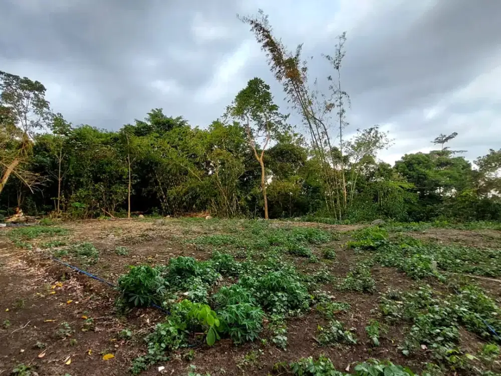 Kesempatan Emas! Tanah Strategis dengan Harga Terbaik di Kelasnya