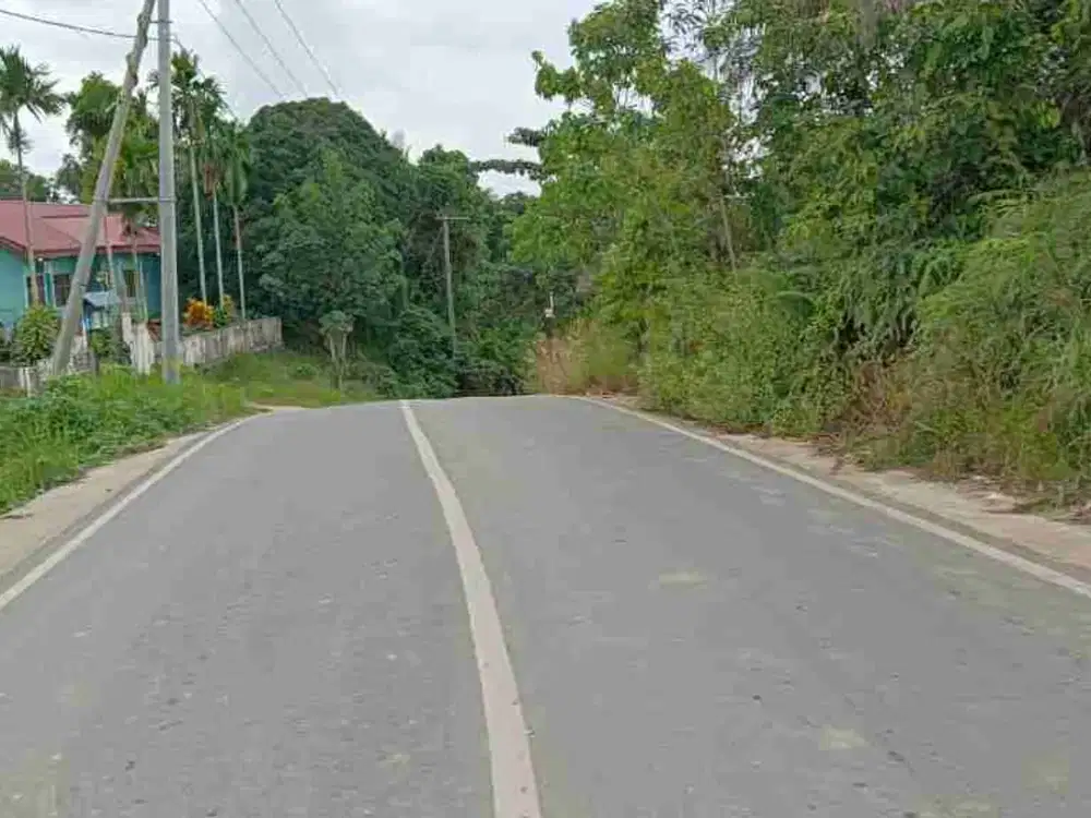 Bismillah dijual Tanah Murah IKN jalan aspal 1.3 Ha SHM