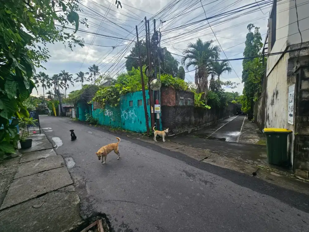 Tanah Petitenget Seminyak Badung