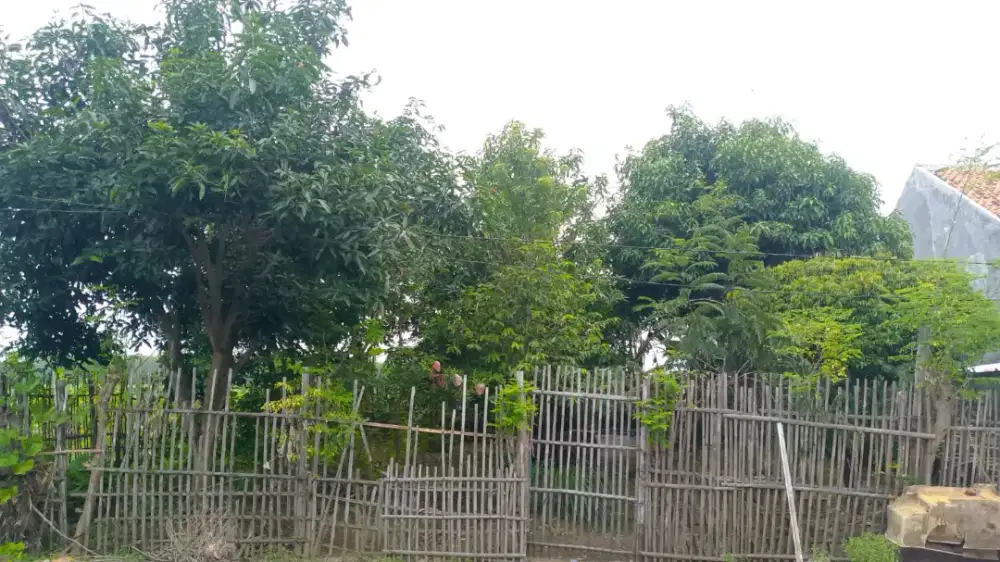 Dijual tanah kapling SHM daerah Waled Luas tanah 287m2