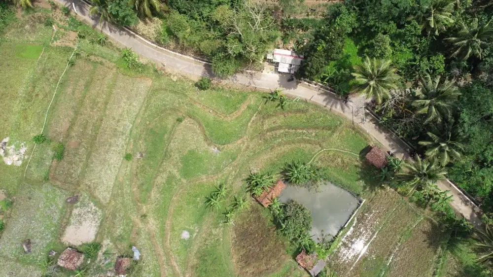 dijual tanah sawah strategis dengan mata air