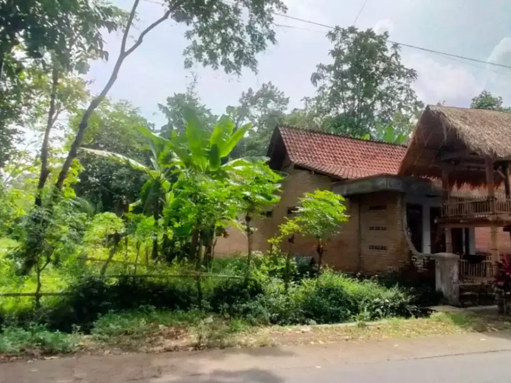 Dijual Tanah Strategis – Desa Adat Kemiren, Banyuwangi