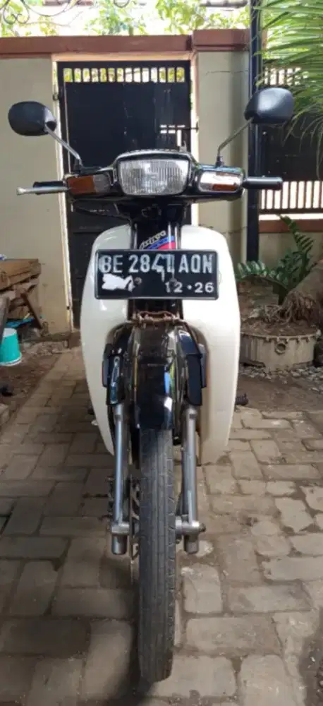 Astrea grand bulus ( antik )