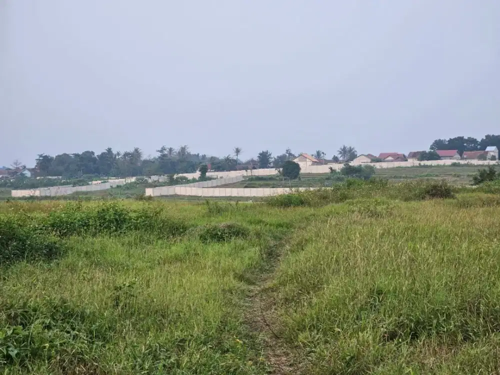 Dijual Tanah Strategis Pinggir Jalan di Cikance, Rangkasbitung, Banten