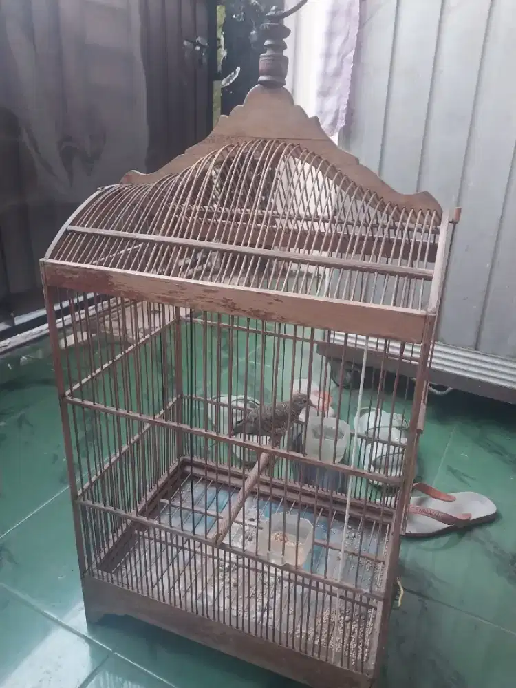 Kurung bonus na manuk