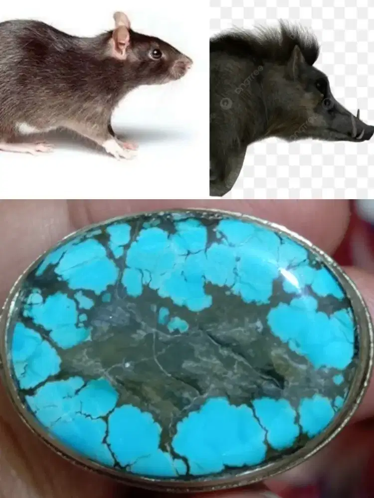 Pirus Hubei Sakral/Motif Gambar