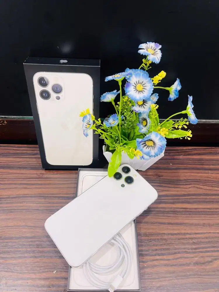 Iphone 13 Promax 256Gb ibox