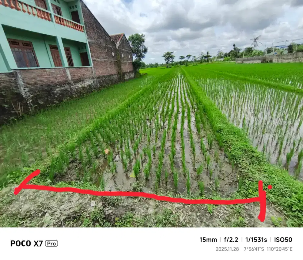 Di Jual Sawah pinggir jalan raya