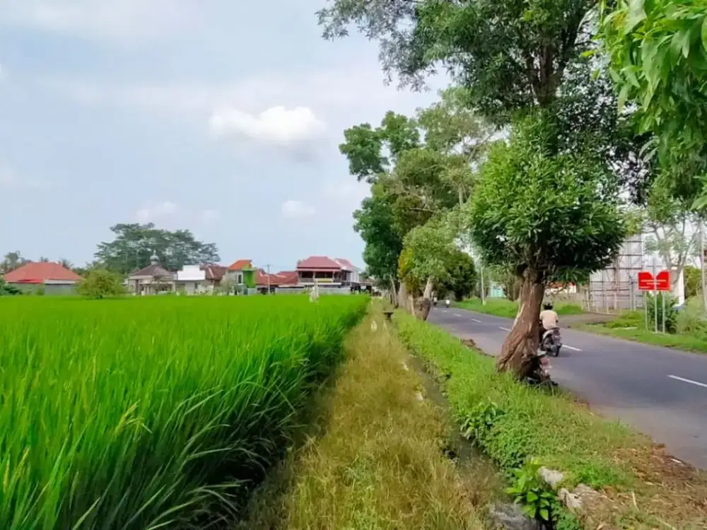 Dijual Tanah Strategis Lokasi Premium dekat Bandara, Blimbingsari–Banyuwangi