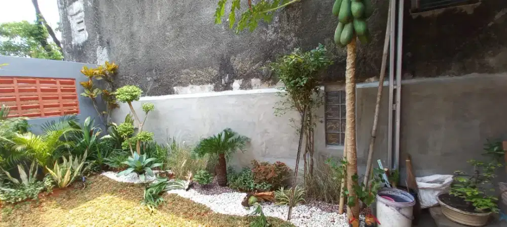 Tukang taman Bekasi/ taman minimalis/jasa tukang taman