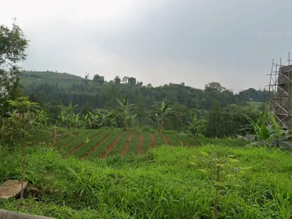 BEST DEAL ! Tanah View Golf di Bukit Pakar Golf, Cuma 9 Jutaan per meter !