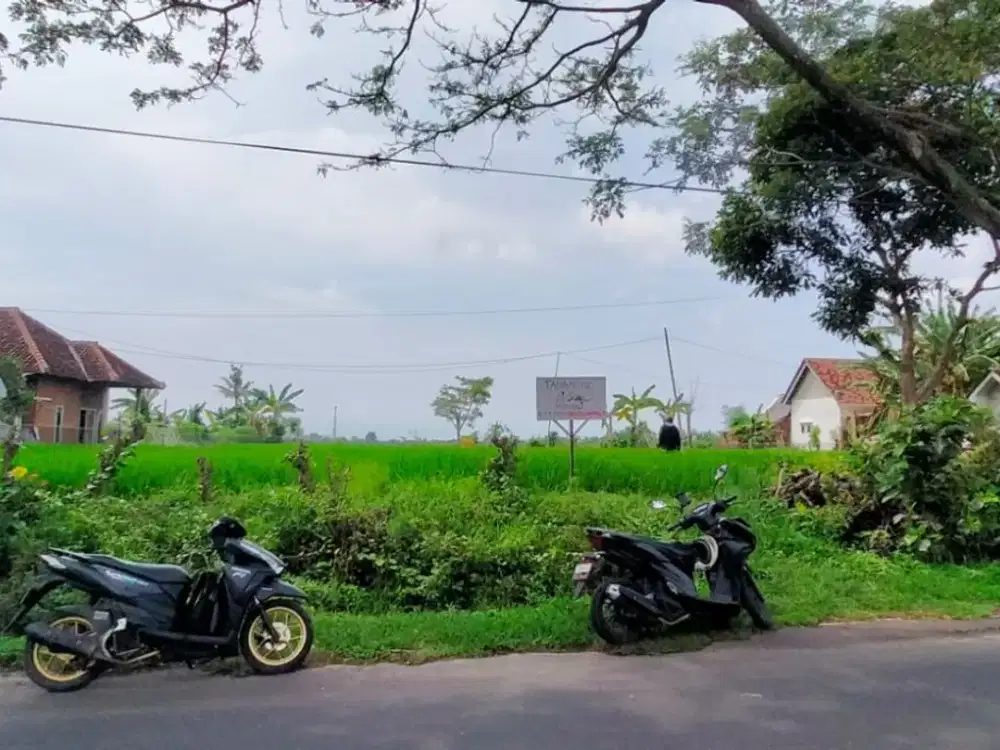 Dijual Tanah Strategis Lokasi Premium dekat Bandara, Blimbingsari – Banyuwangi