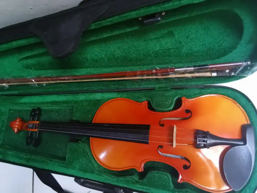 Biola Vienna solid wood