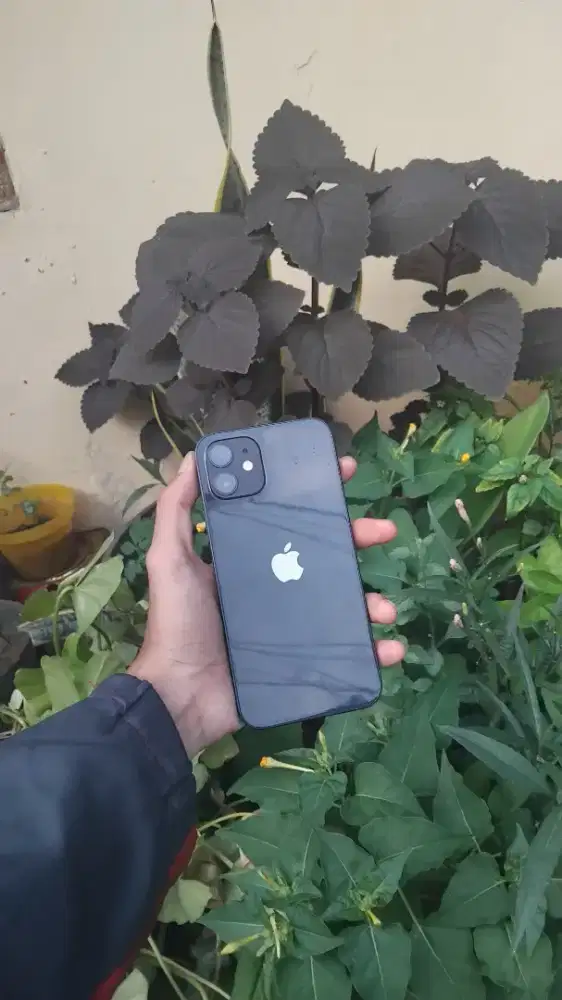 Iphone 12 128 ibox siap pakai