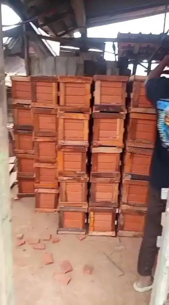 Bata tempel terakota