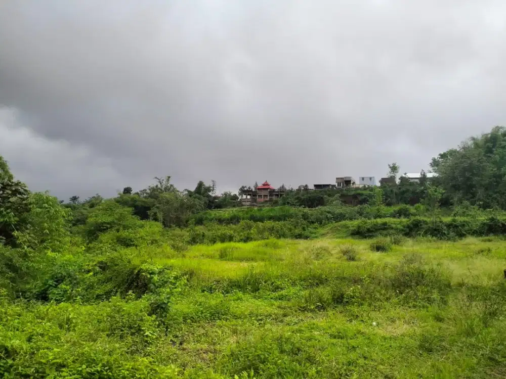 SHM 90 Juta Tanah Malang