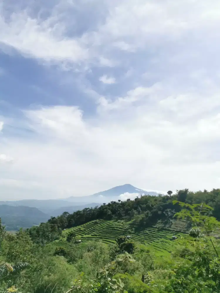 Cari kerjaan yang apa saja