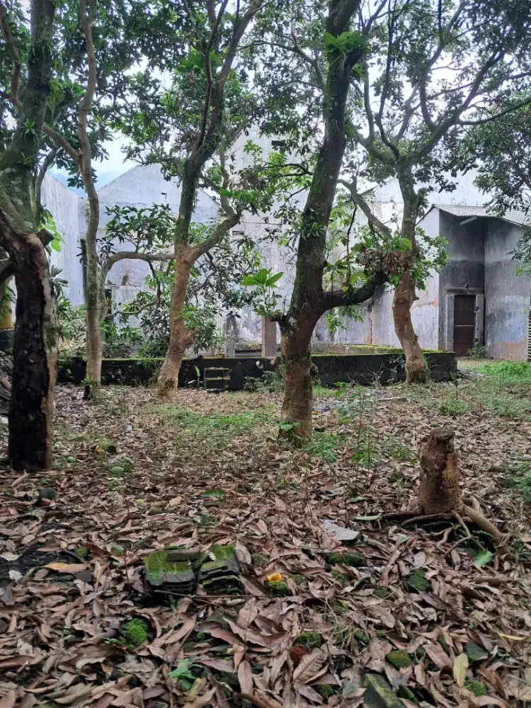 Di jual Tempat usaha Futsal & Sarang Burung Walet (sriti)