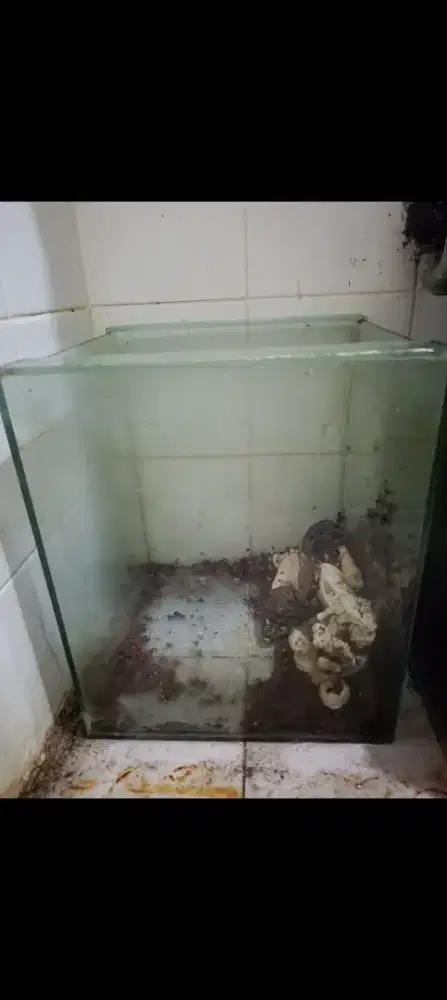Dijual Borongan 2 Aquarium dan Kandang Burung Free Fly