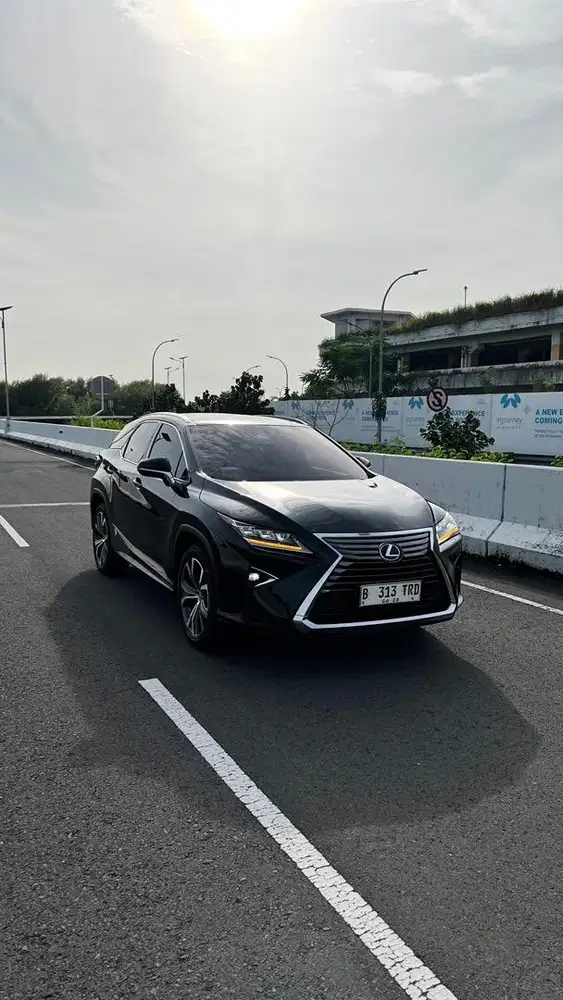 LEXUS RX300 LUXURY 2018