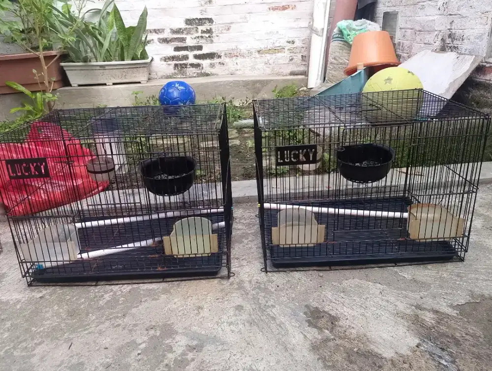 Kandang Besi Lucky 3 pcs