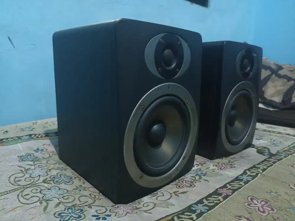 Esi near 06 speaker flat monitor recording