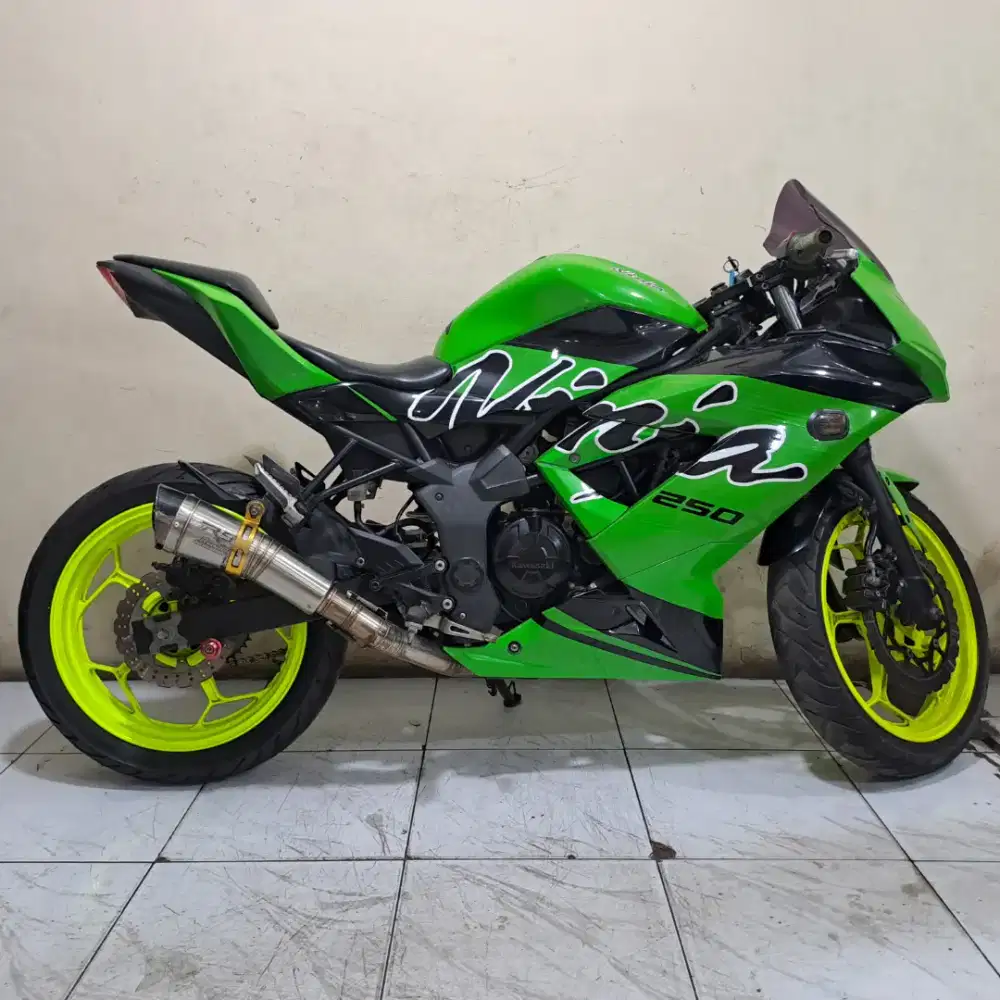 Kawasaki ninja 250 mono 2014