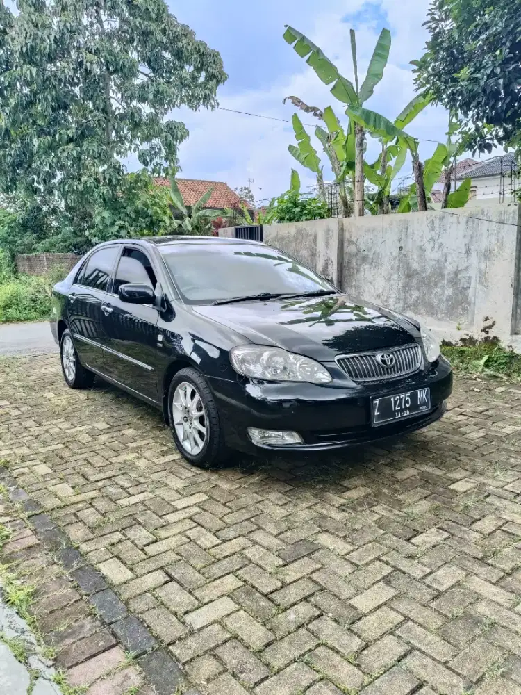 Altis G Manual mulus