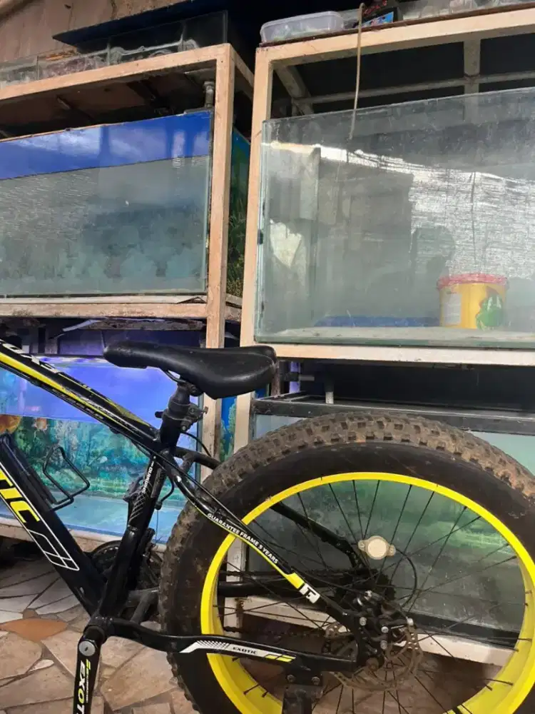 Sepeda gunung exotic ban besar (jumbo)
