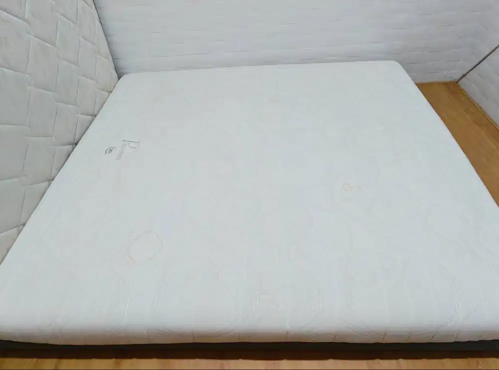 Bed Merek Serta Passion (full Latex)