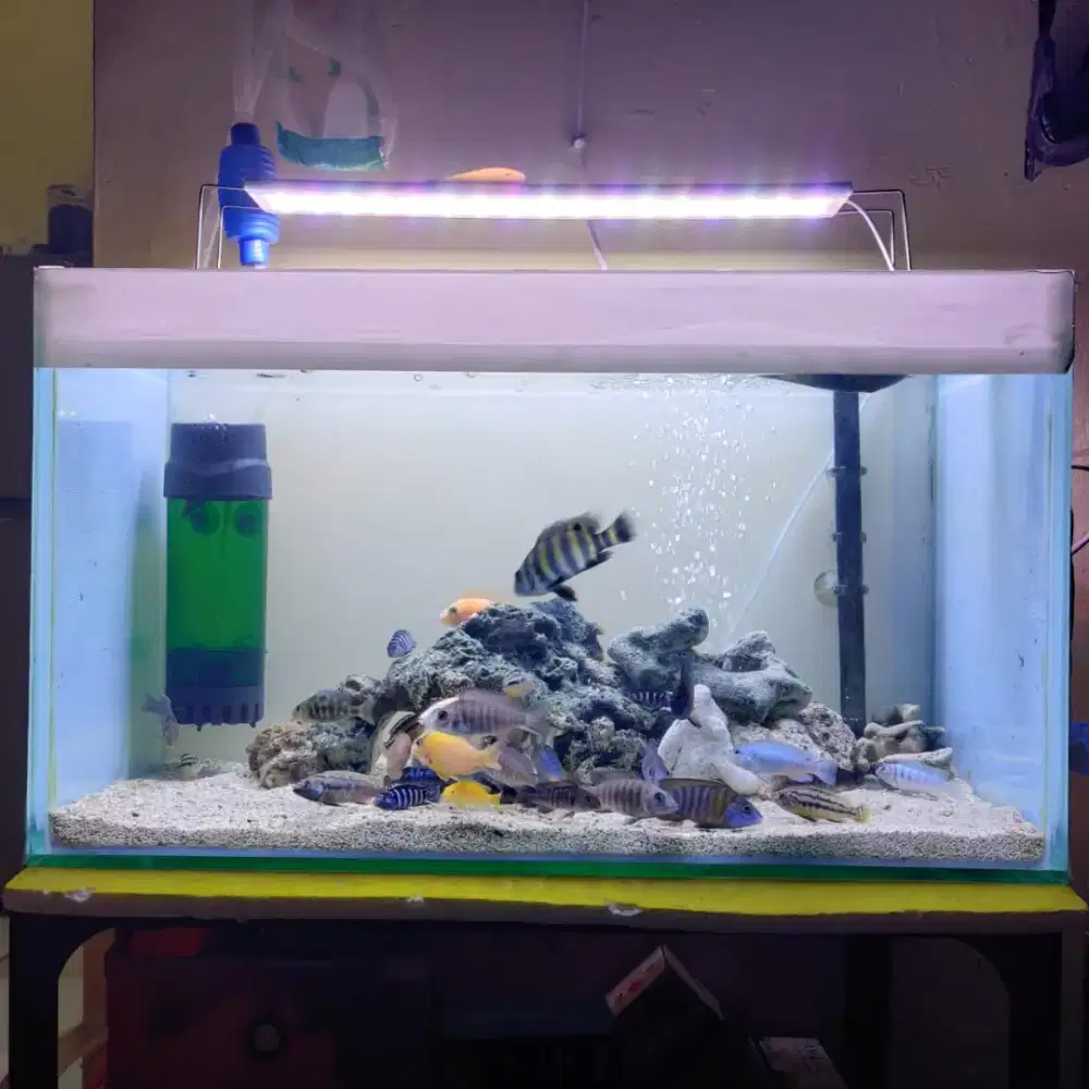 Aquarium fullset
