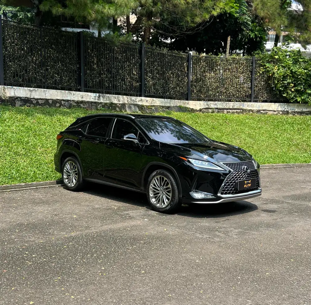 Lexus RX 300 Luxury 2019