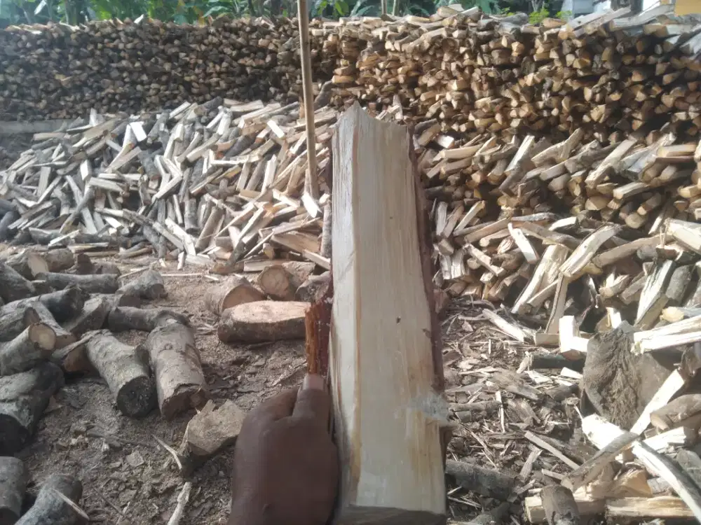 Kayu karet bakar kering