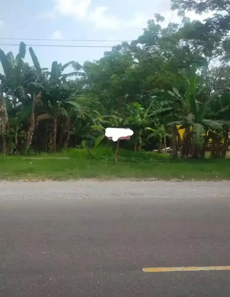 Dijual Tanah Untuk Komersil