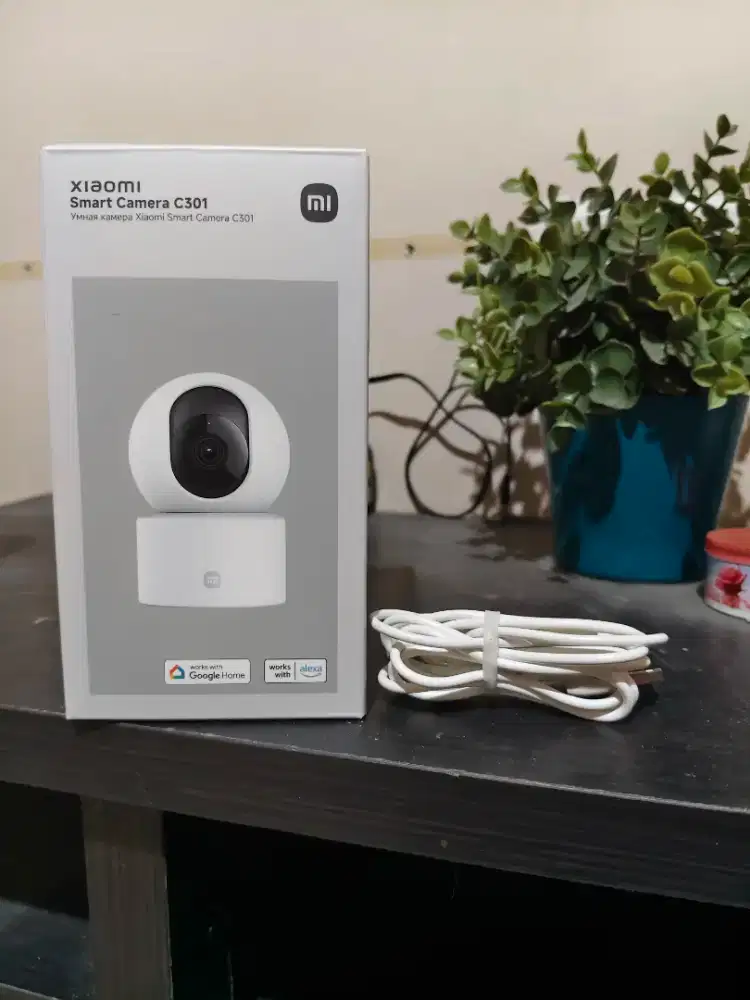 CCTV Xiaomi C301