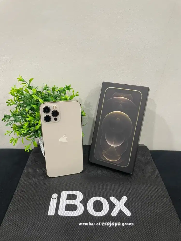 IPhone 12 Pro 256GB iBox Gold Fullset Ori BH 100% Sinyal Permanent