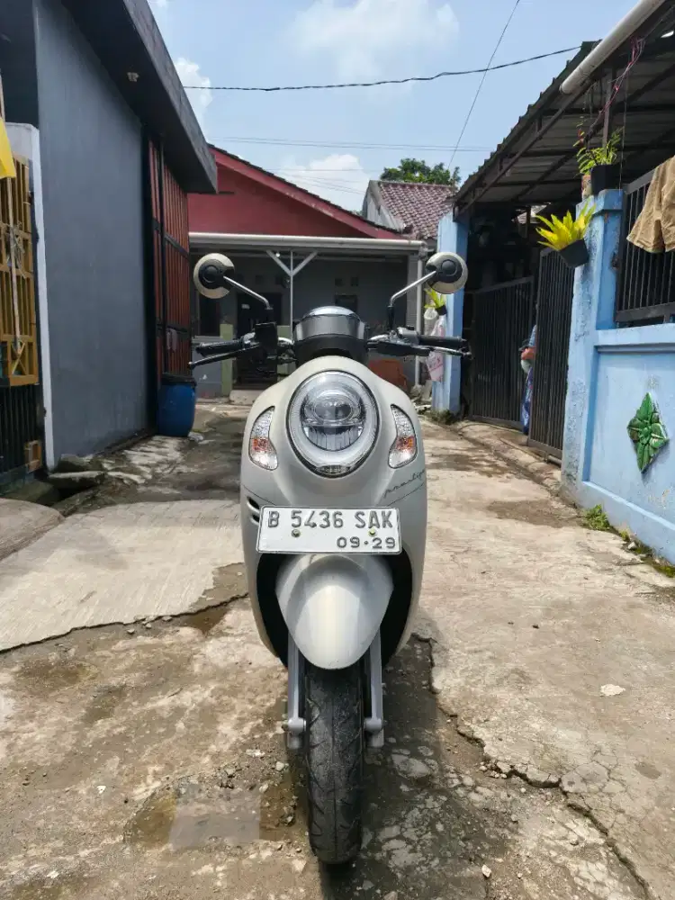 Honda Scoopy 2024
