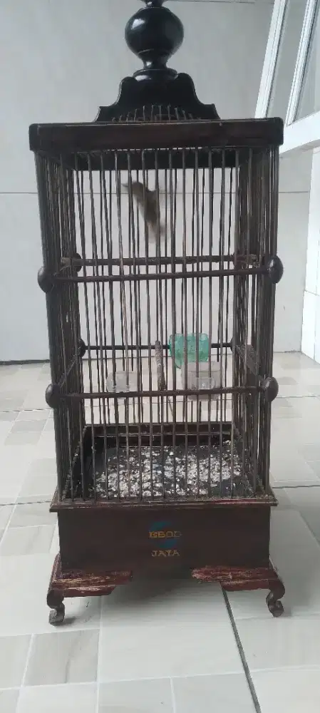 Jual Sangkar Bonus Burung