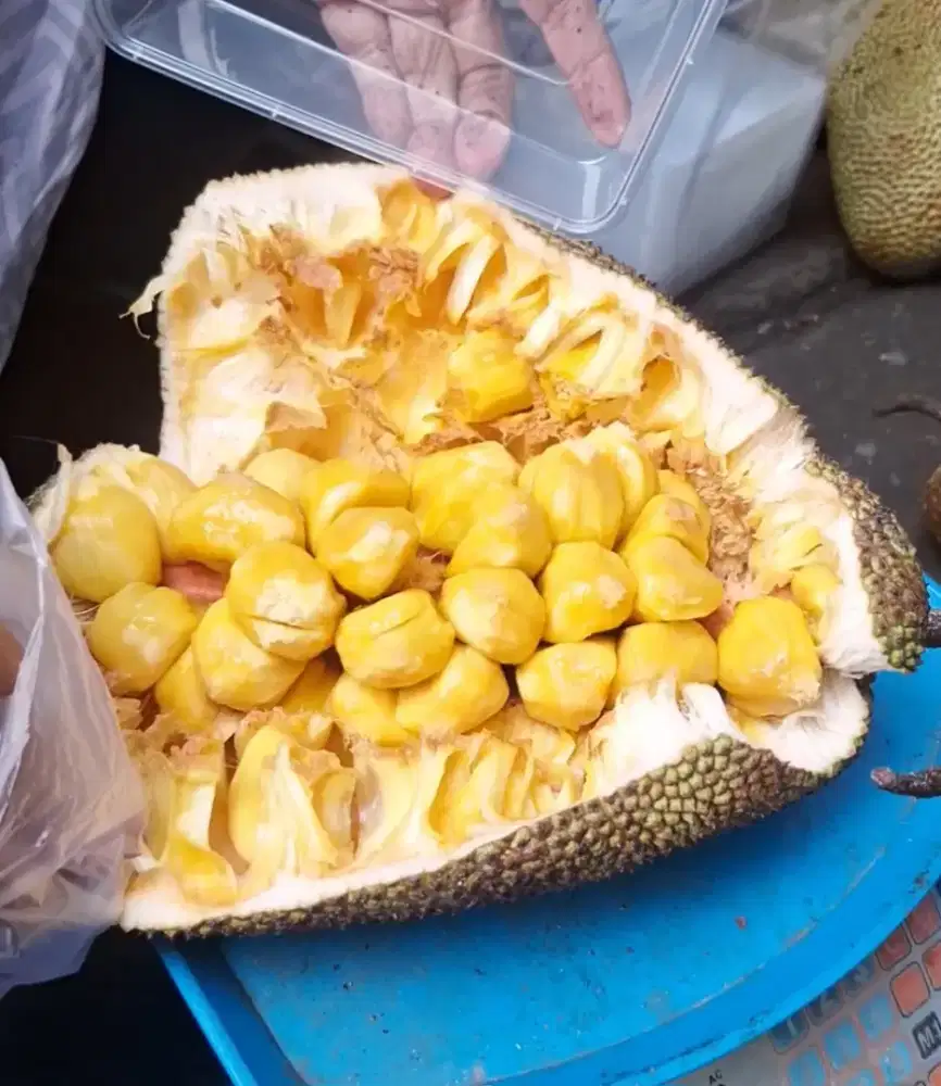 Cempedak madu manis bergaransi