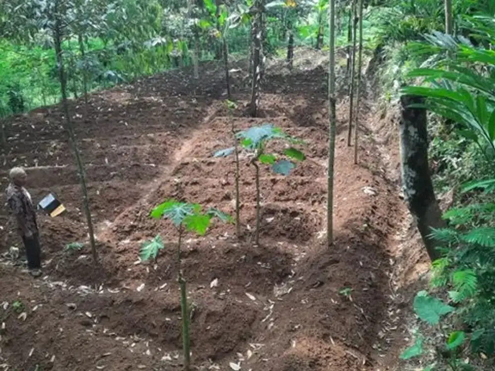 Tanah SHM Lokasi Strategis di Jl Lingkar Selatan