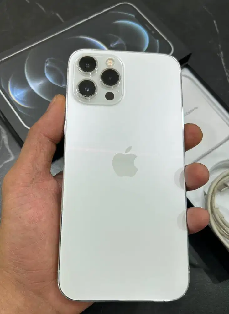 Iphone 12 Pro Max 256gb silver inter regist normal fullset