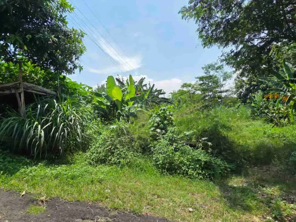 Tanah Lokasi Strategis di Prof Hamka Ngaliyan Semarang