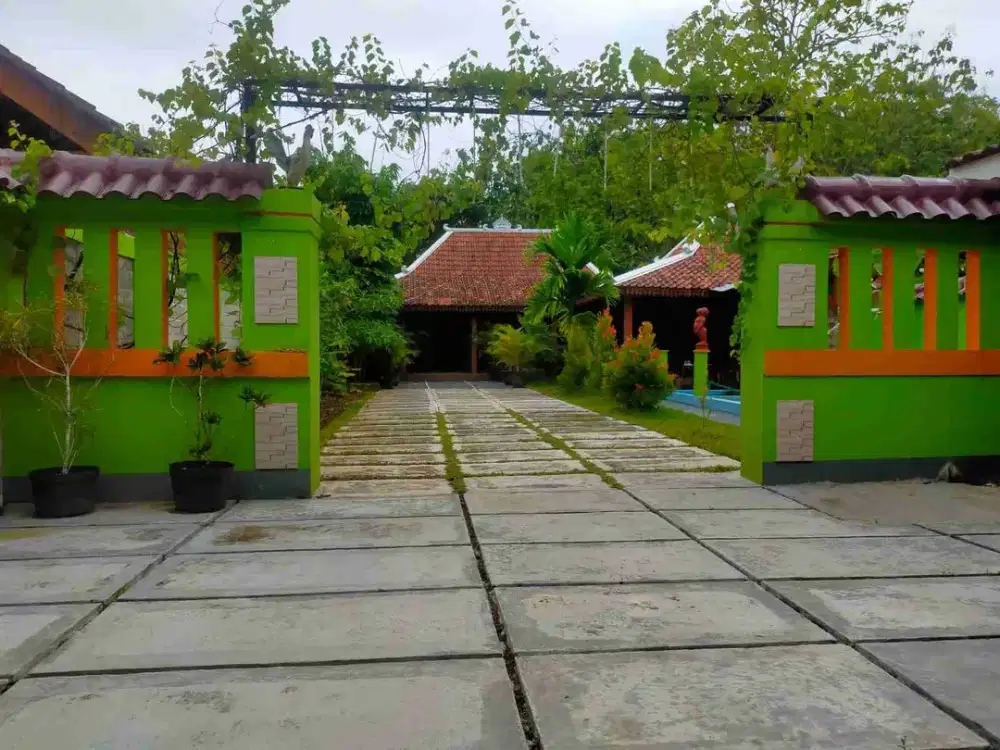 Jual rumah murah spesial dekat kota karangmojo Gunung Kidul lt 700 m2 siap pakai harga 900 jt