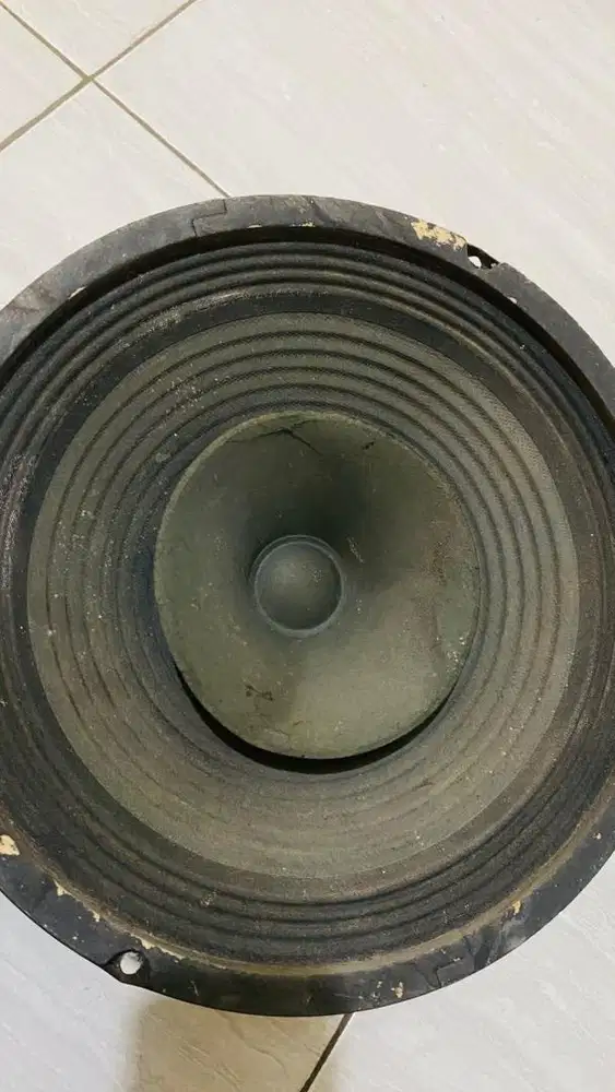 Speker 10in masih ori