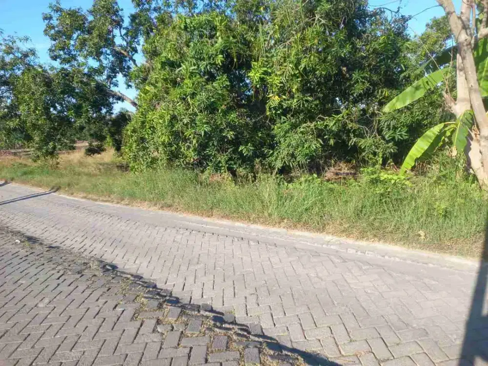 TANAH MURAH MEPET CITRALAND BUKIT PALMA SURABAYA BARAT