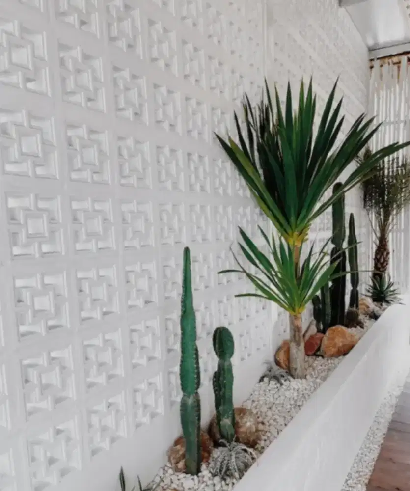 Taman kering indor/outdor