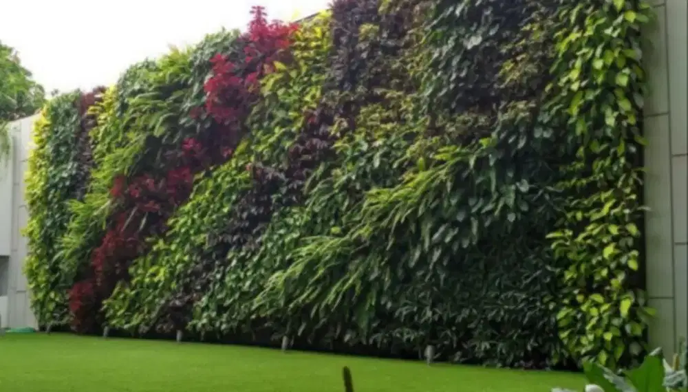 Taman vertikal hidup