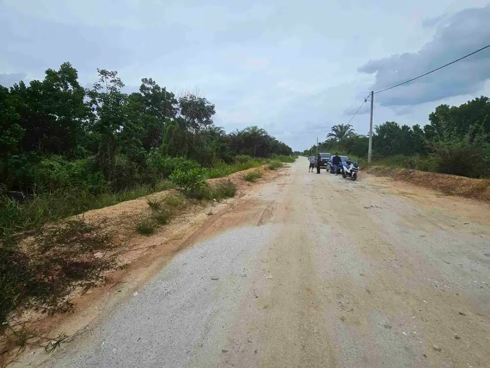 Tanah 2 Hektar, cocok untuk Investasi atau di gunakan langsung.