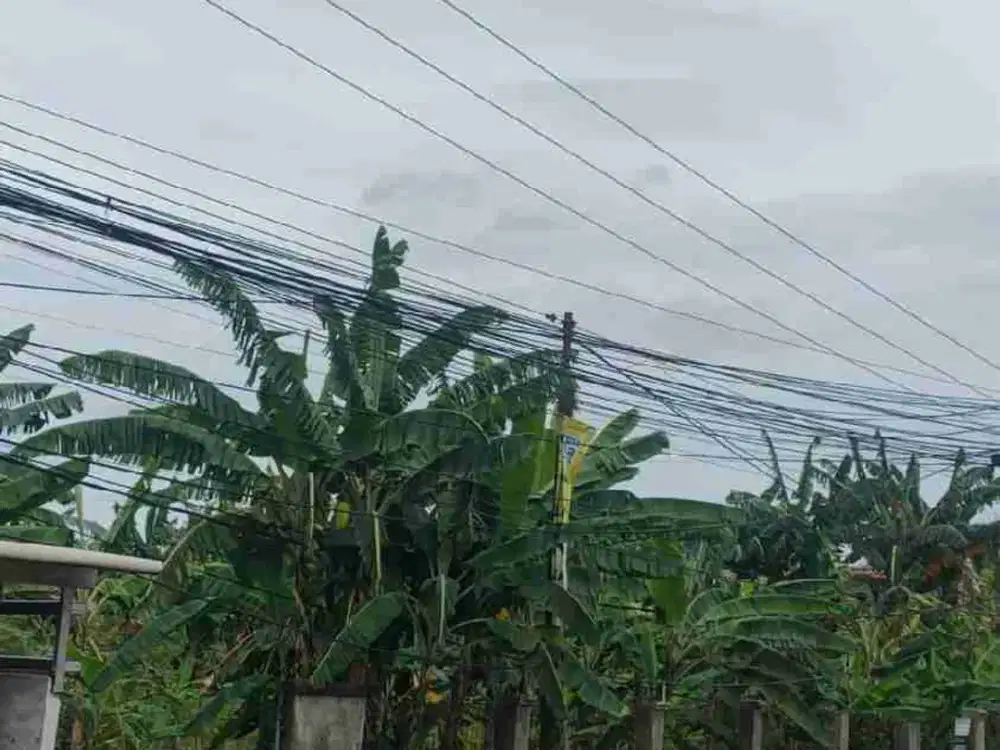 Tanah Dijual di Ciangsana Pinggir Jalan Raya Lokasi 
Strategis