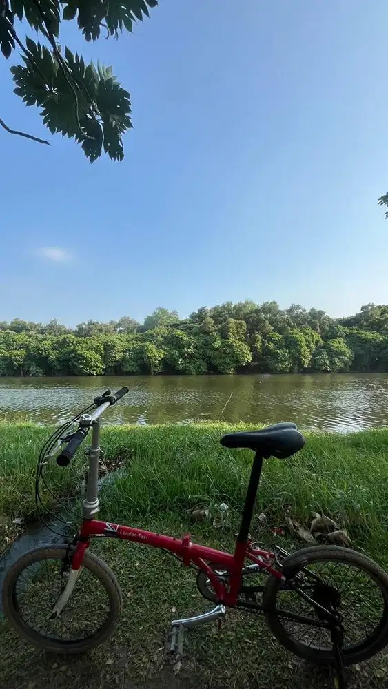 Sepeda London Taxi 20 in